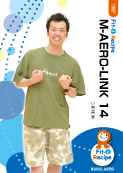 M-AERO-LINK 14