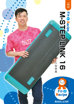 M-STEP-LINK 16