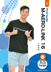 M-AERO-LINK 16